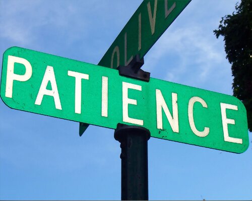 patience-discipline